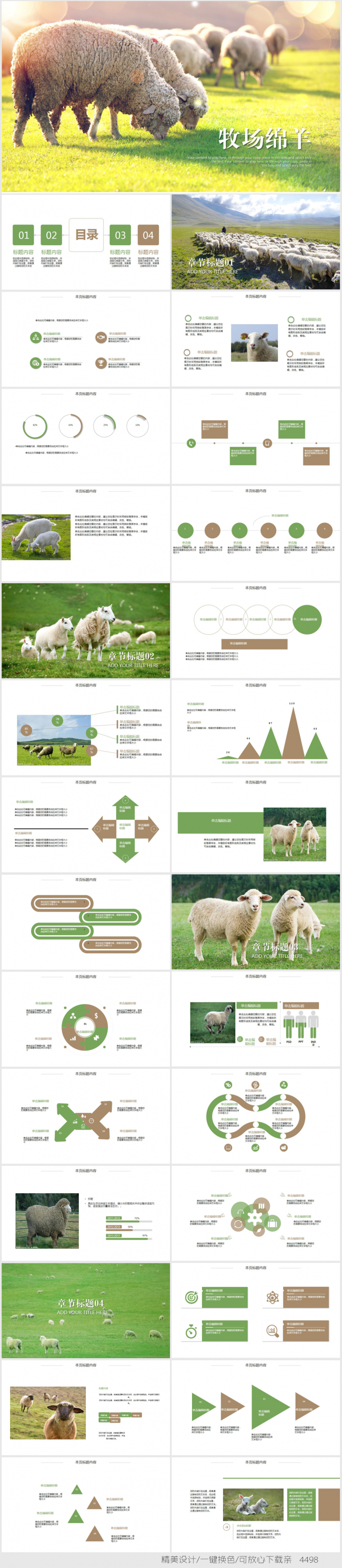 畜牧业绵羊ppt动态模板