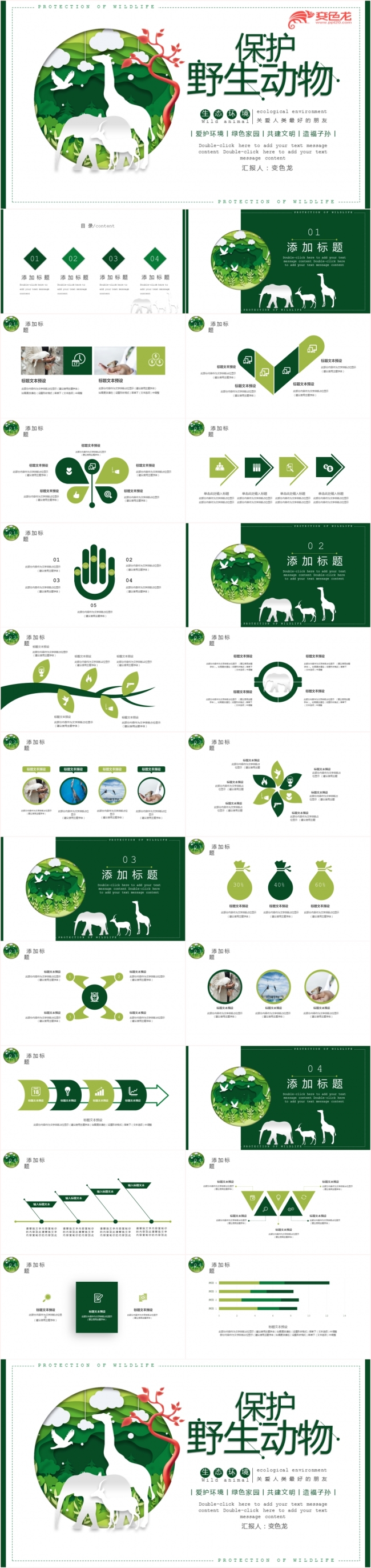 简约绿色保护野生动物公益宣传ppt模板