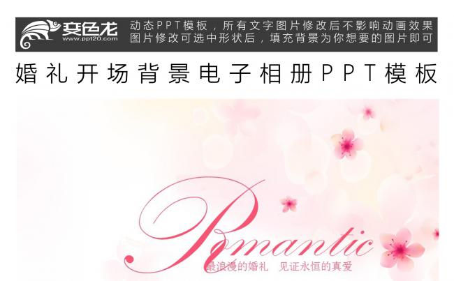 婚礼开场背景电子相册PPT模板缩略图