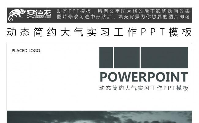 动态简约大气实习工作PPT模板缩略图