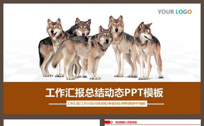 狼群文化团队精神企业文化简约商务PPT模板下载缩略图