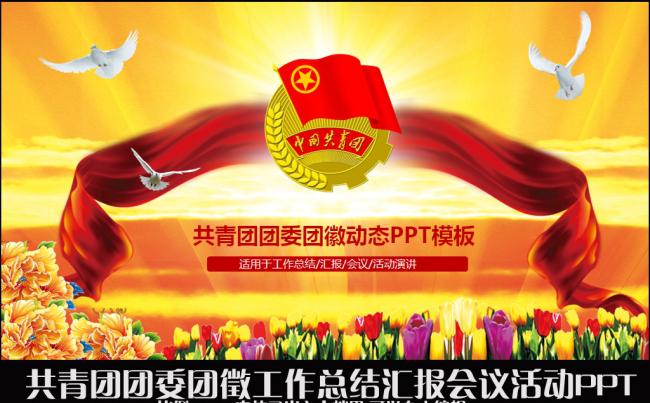 共青团团委团徽工作总结汇报计划座谈会议活动交流PPT模板缩略图
