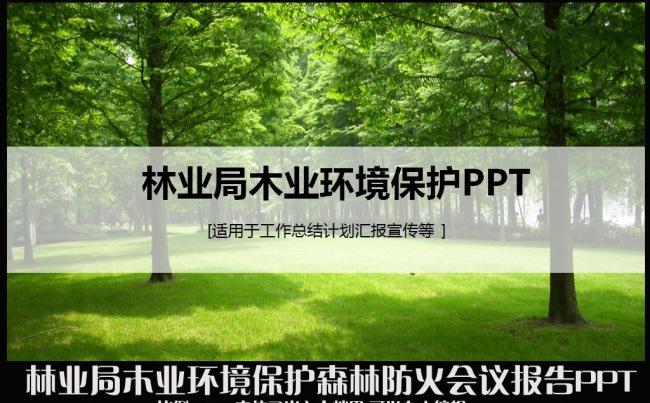 绿色森林低碳保护林业局环境资源管理工作总结汇报计划述职报告PPT模板缩略图