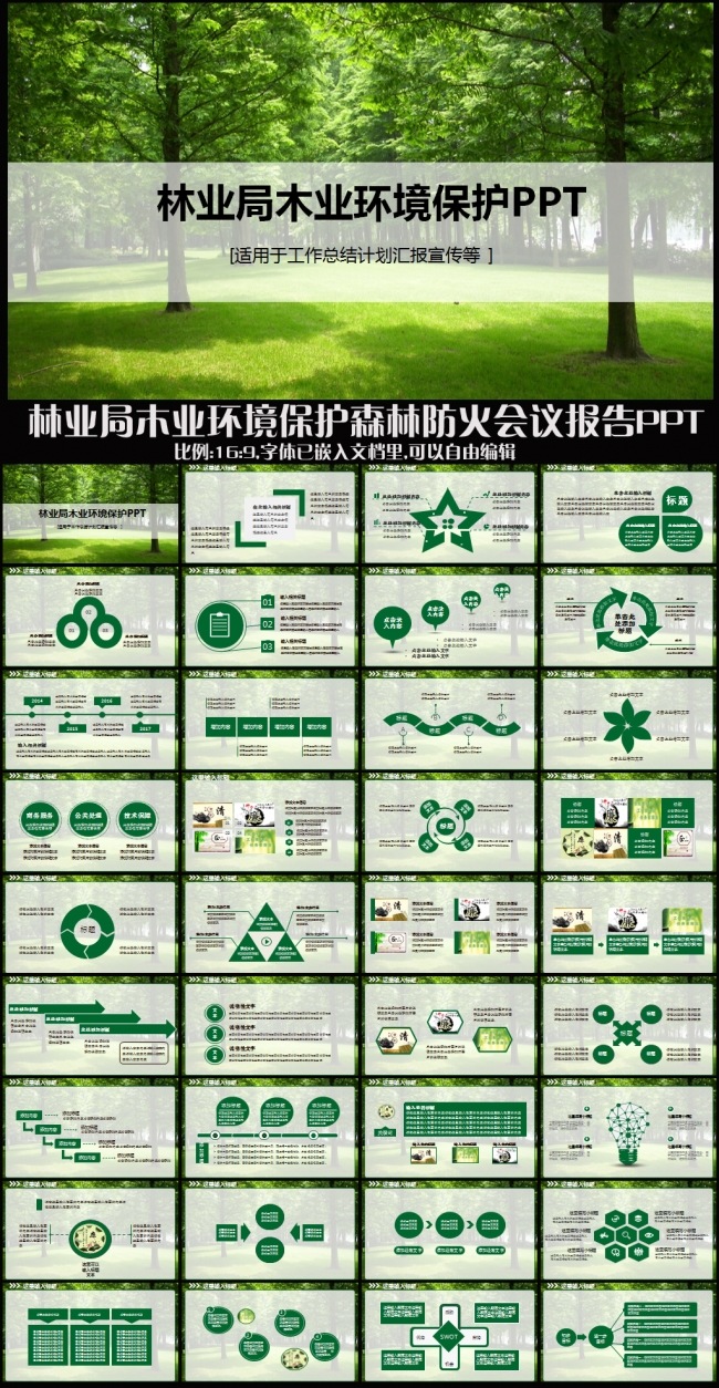 绿色森林低碳保护林业局环境资源管理工作总结汇报计划述职报告PPT模板