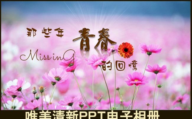 清新唯美紫色小花青春写真情侣回忆留念结婚照PPT相册缩略图