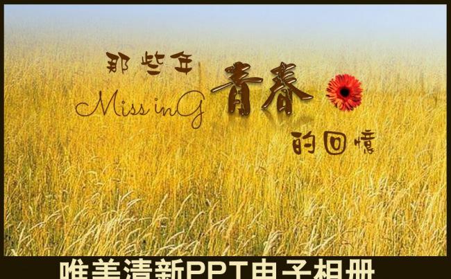 唯美秋天意境麦田情侣恋爱婚纱MV个人写真青春留念生活旅游PPT电子相册模板缩略图
