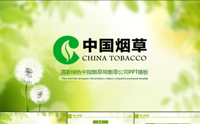 绿色i清新淡雅烟草公司中国烟草ppt模板
