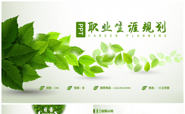 职业生涯规范PPT模板缩略图