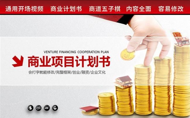 大气商业计划书投资项目融资策划书PPT设计【赢在细节】缩略图