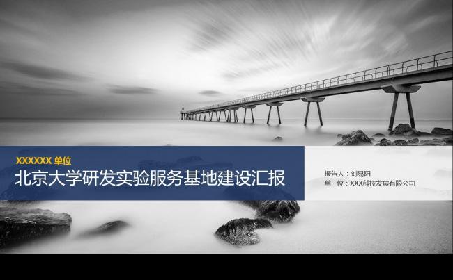 项目建设评审报告缩略图