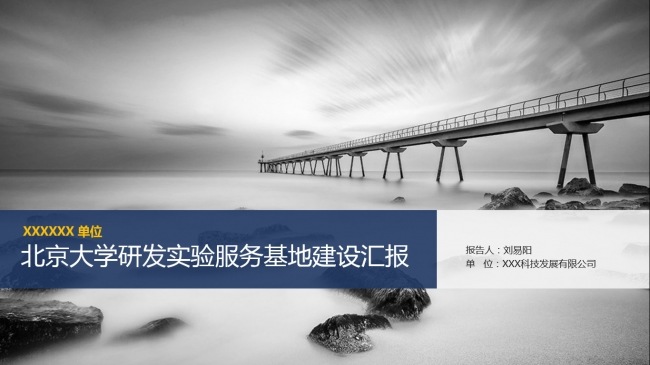 项目建设评审报告