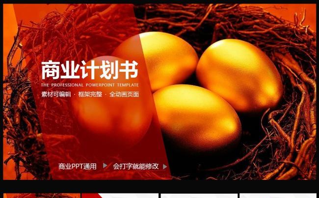 大气商业策划书创业计划项目投资PPT模板缩略图