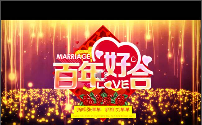 婚礼婚纱电子相册PPT视频模版缩略图