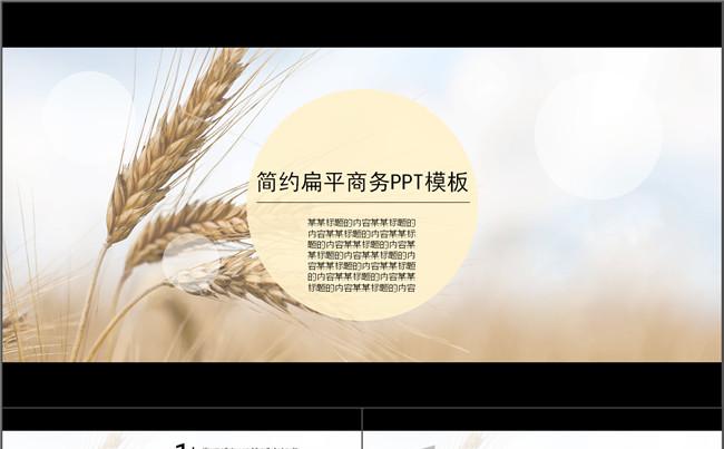麦穗背景简约扁平商务PPT模板缩略图