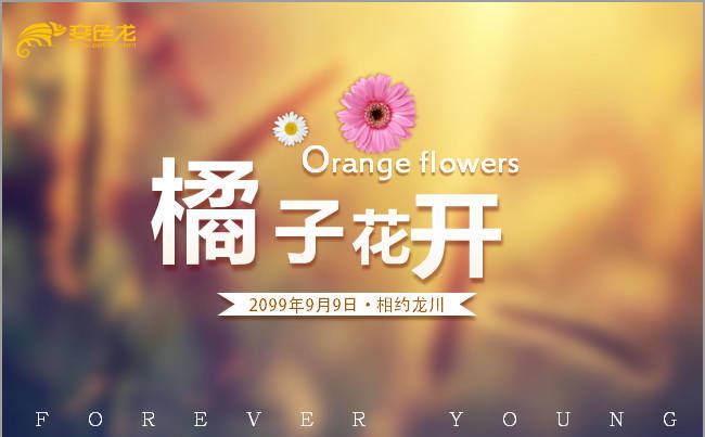 唯美青春毕业季同学聚会ppt视频模版图片缩略图