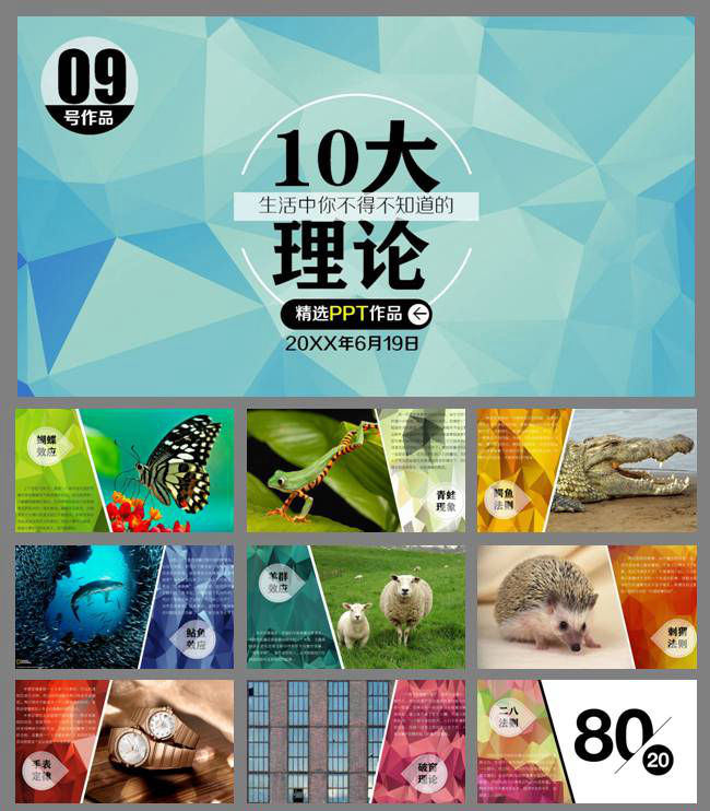 10大理论PPT模板