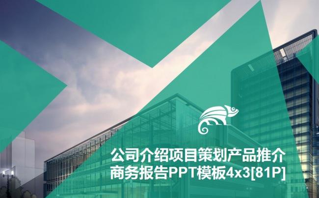 公司介绍项目策划产品推介商务报告PPT模板4x3[81P]缩略图