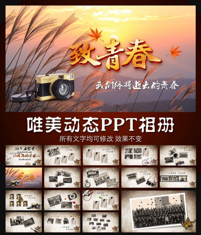 2016唯美梦幻金色麦田动态PPT相册