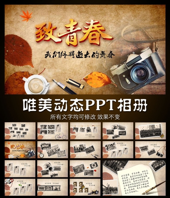 2016致青春怀旧唯美动态PPT相册