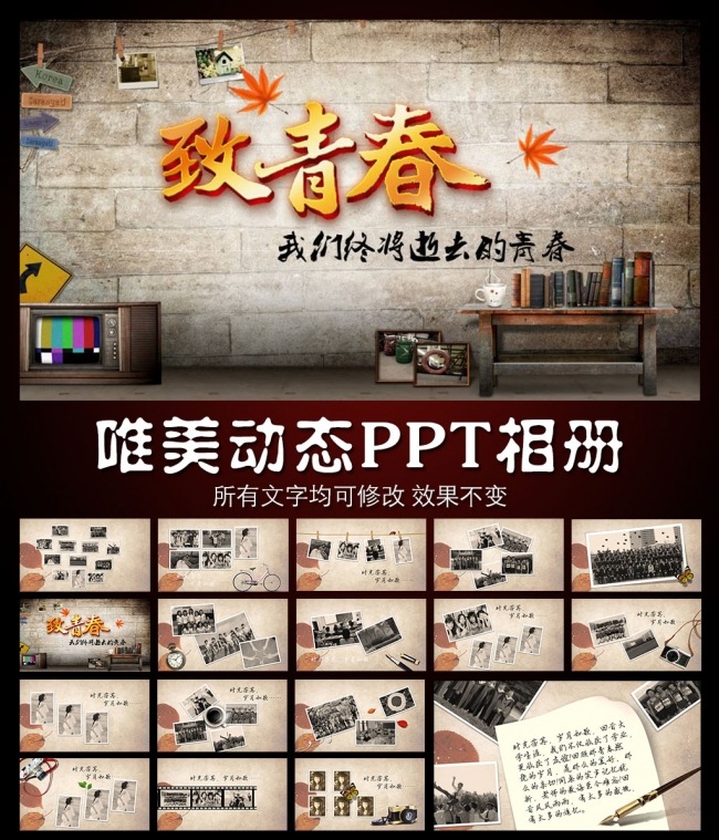 2016致青春唯美清新时尚动态PPT相册