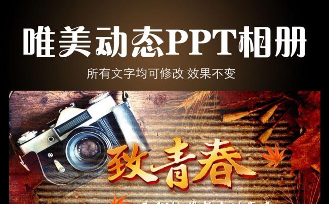 致青春唯美时尚动态PPT相册模板缩略图