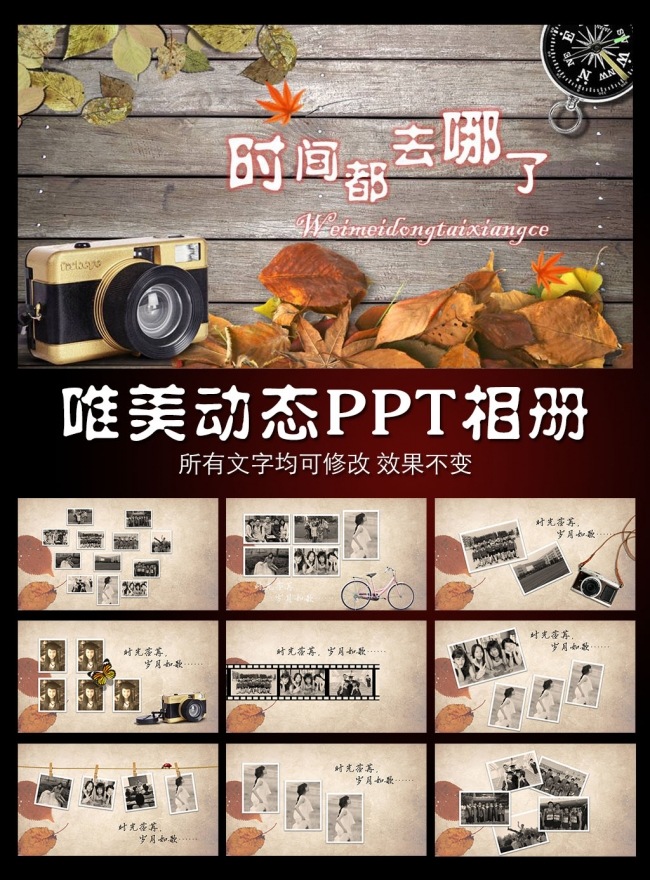 时间都去哪里梦幻怀旧动态PPT模板