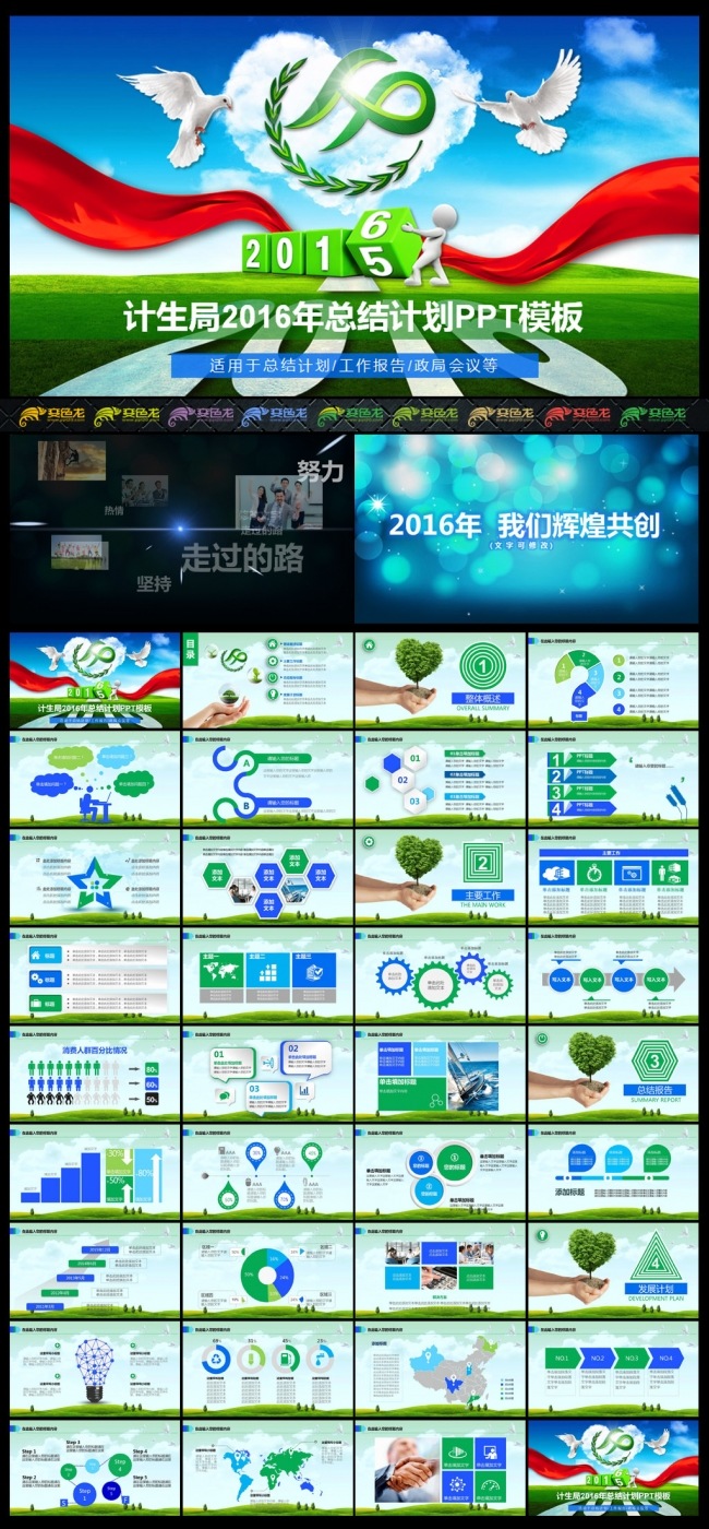 计生局2016年终总结PPT