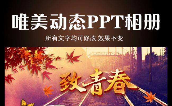 致青春时尚唯美动态PPT相册缩略图