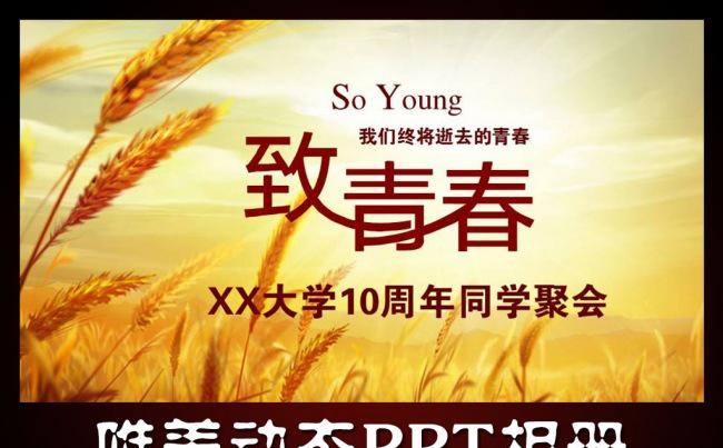 致青春同学会PPT模板缩略图