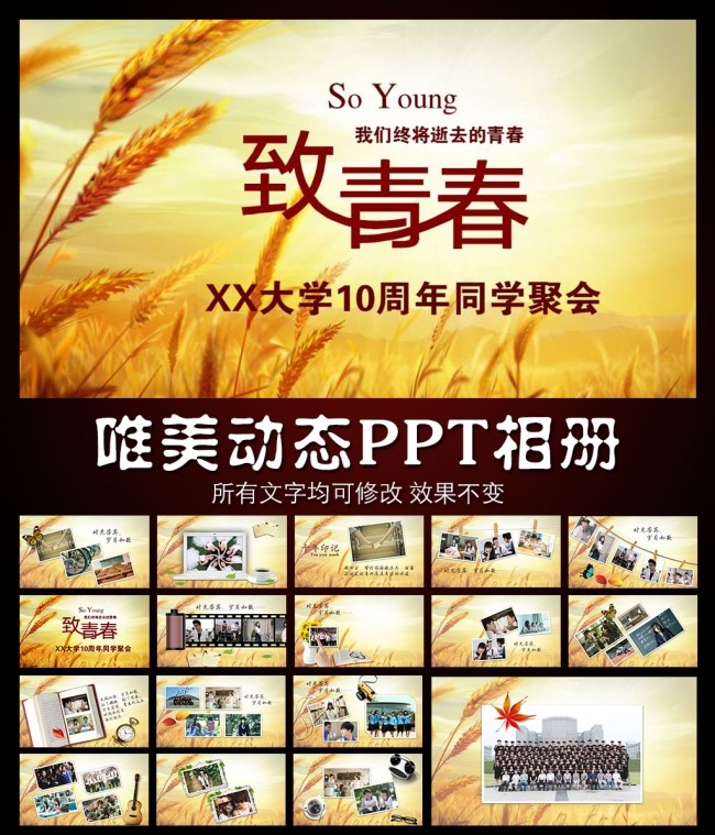 致青春同学会PPT模板