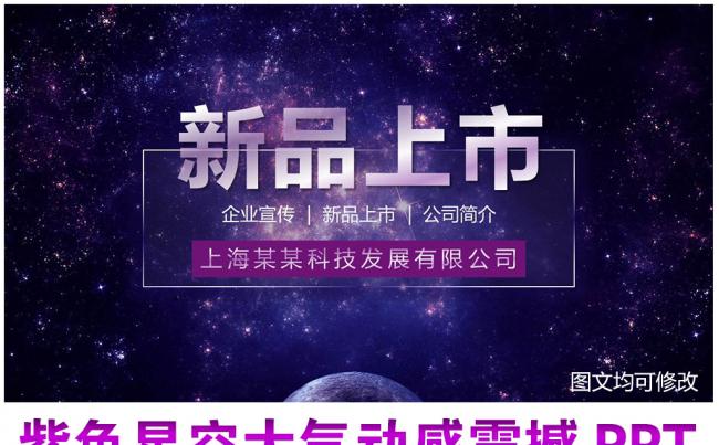紫色星空大气企业宣传新品上市投资PPT缩略图