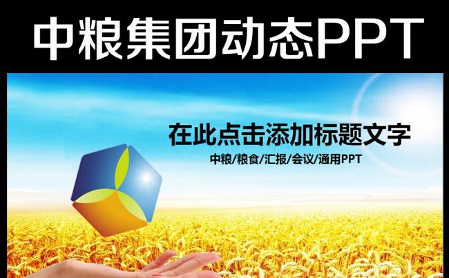 中粮集团有限公司动态ppt扁平化模板缩略图