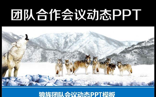 扁平化狼团队建设文化商务PPT模板缩略图