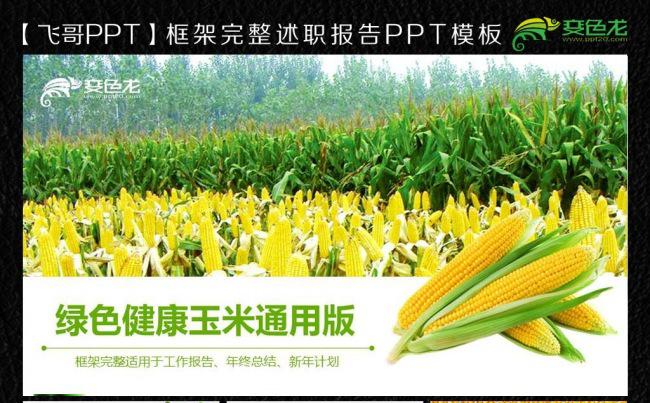 【飞哥PPT】绿色健康玉米ppt模板缩略图