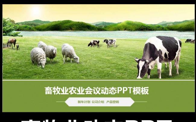 生态农场牧场农业新农村奶牛养殖PPT模板缩略图