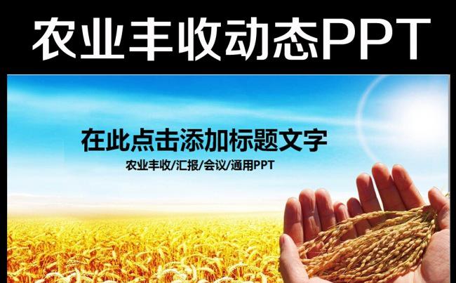 农业丰收秋天麦子银杏金黄色收获PPT缩略图