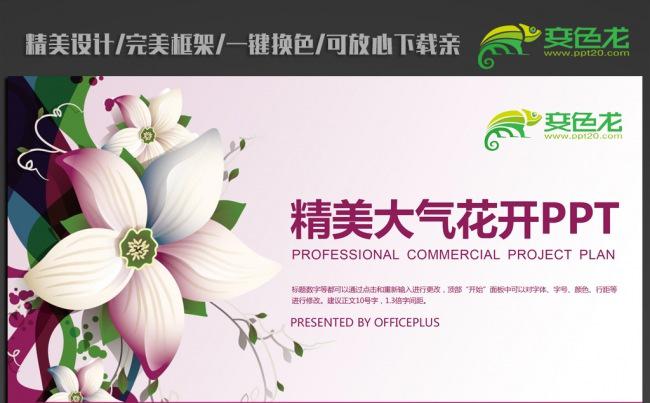 精美时尚大气花纹PPT模板缩略图