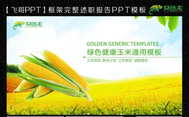 健康绿色玉米基本ppt缩略图