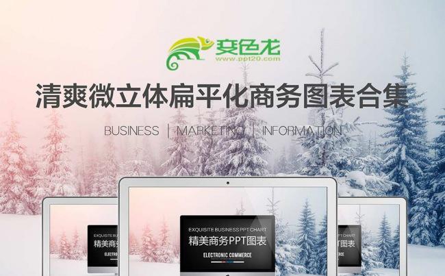 商务通用图表统计PPT汇总模版缩略图