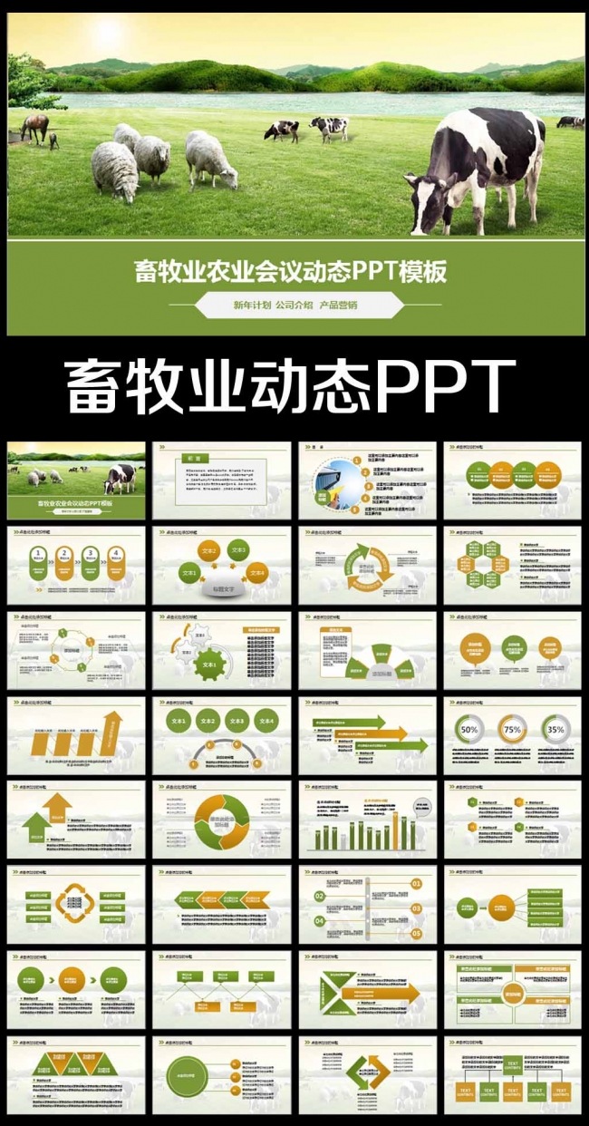 生态农场牧场农业新农村奶牛养殖PPT模板
