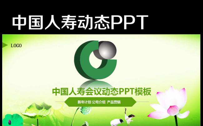 中国人寿财产保险公司简约PPT模板缩略图
