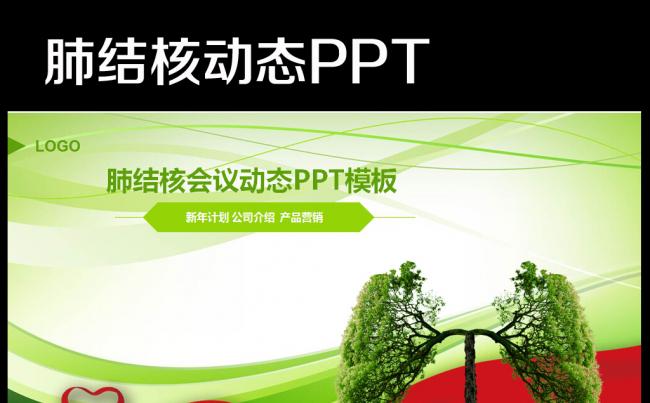 世界结核病防治日工作总结汇报PPT模板缩略图