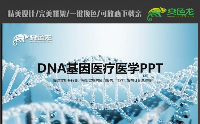 医学DNA生物研究ppt动态模板缩略图