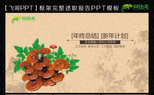 【飞哥PPT】中药养生灵芝ppt模板缩略图