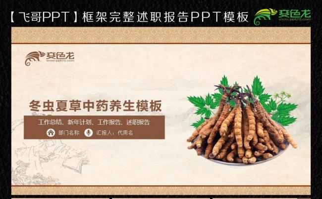 中药虫草ppt模板缩略图