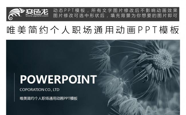 唯美简约个人职场通用动画PPT模板缩略图