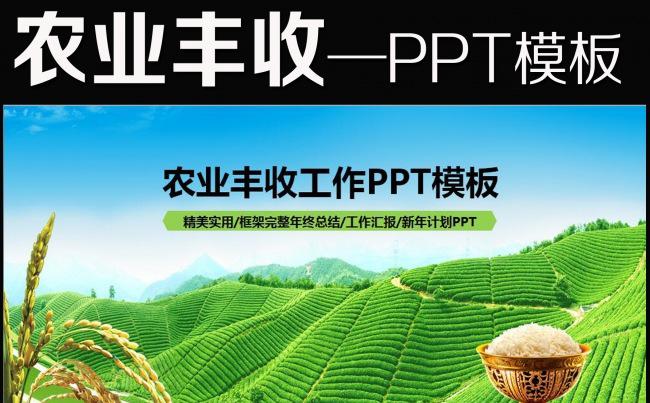 农业种子水稻丰收新农村春耕动态PPT缩略图