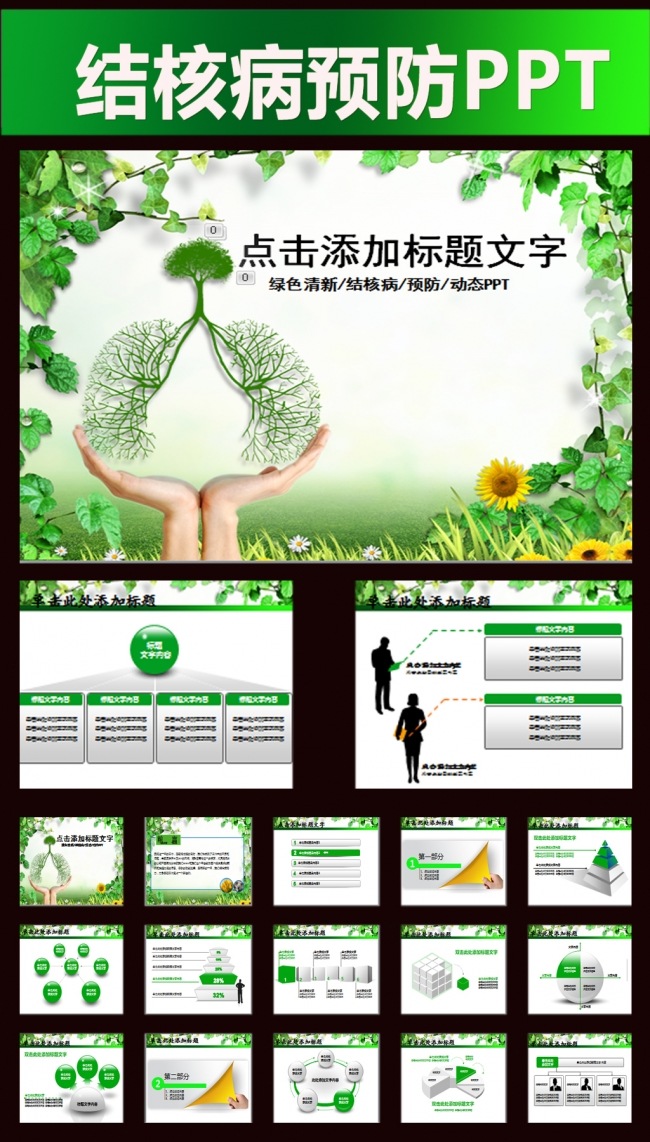 世界结核病防治日工作总结汇报PPT
