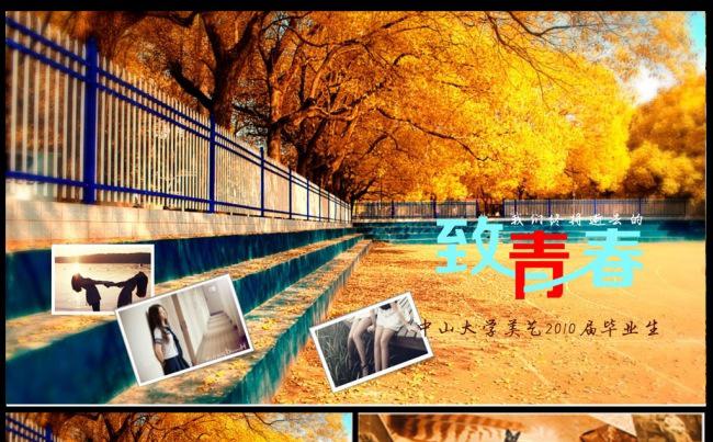 致青春唯美怀旧电子相册缩略图