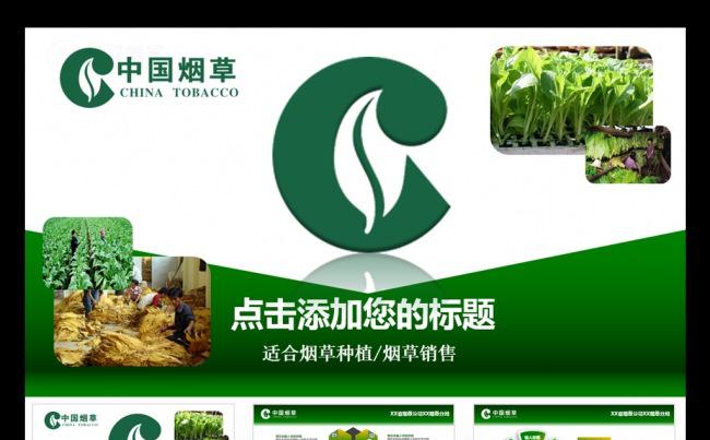 烟草局烟草公司销售年终总结计划PPT模板缩略图